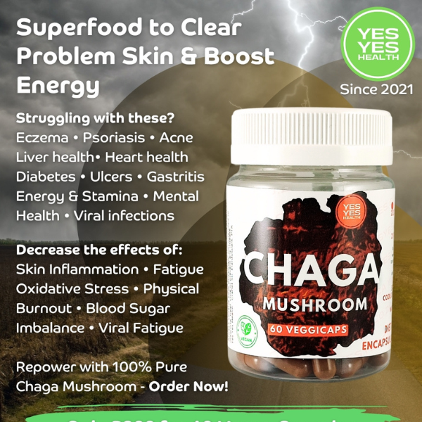 Chaga Mushrooms 100% Pure - 60 Caps