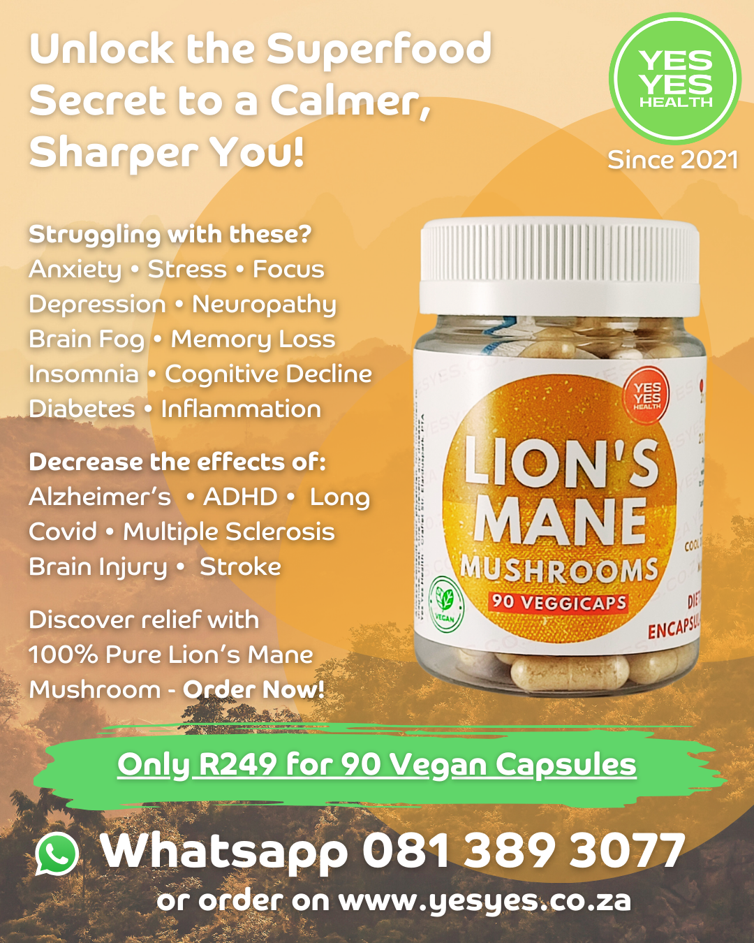Lions' Mane Mushroom 100% Pure - 90 Caps