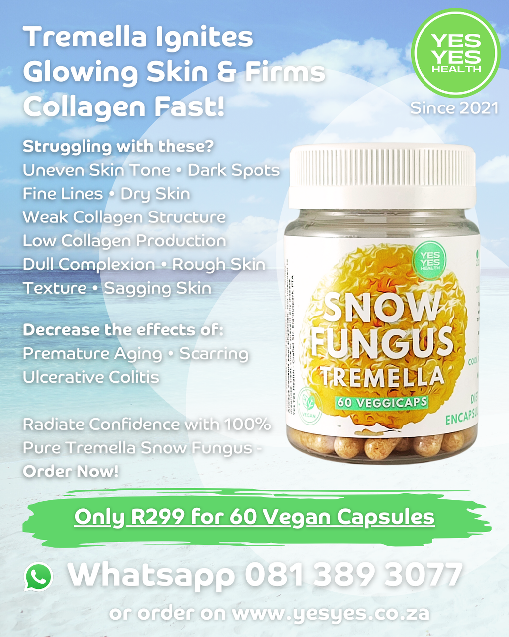 Tremella Snow Fungus 100% Pure - 60 Caps